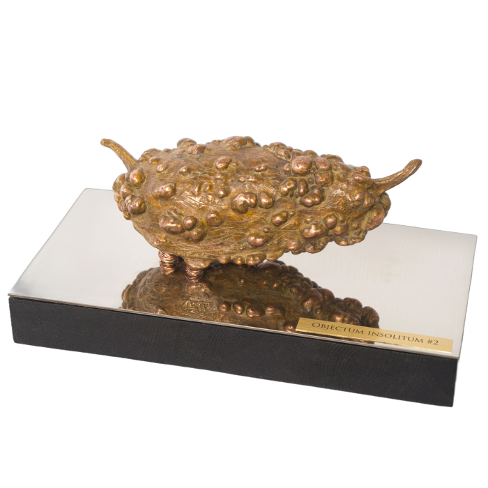 Author's bronze sculpture "Unidentified object #2"